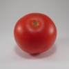 Solanum lycopersicum -- Tomate