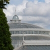 Glashaus Botanischer Garten Glasgow